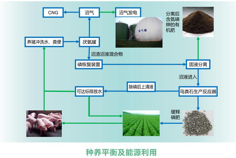 Ag亚洲集团(中国区)官方网站